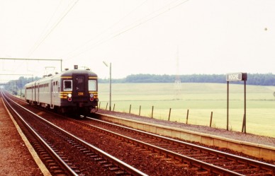 Hogne - M021-143.jpg